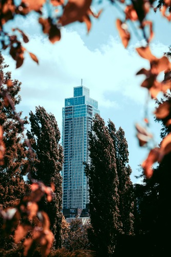 De Zalmhaventoren in Rotterdam