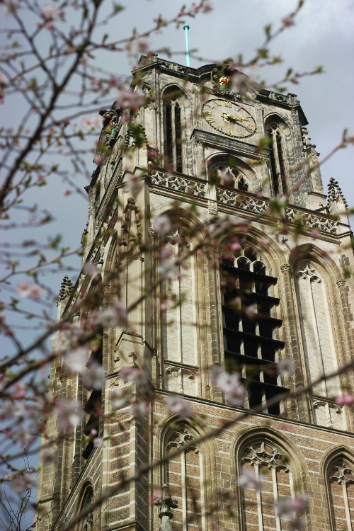 Laurenskerk Rotterdam